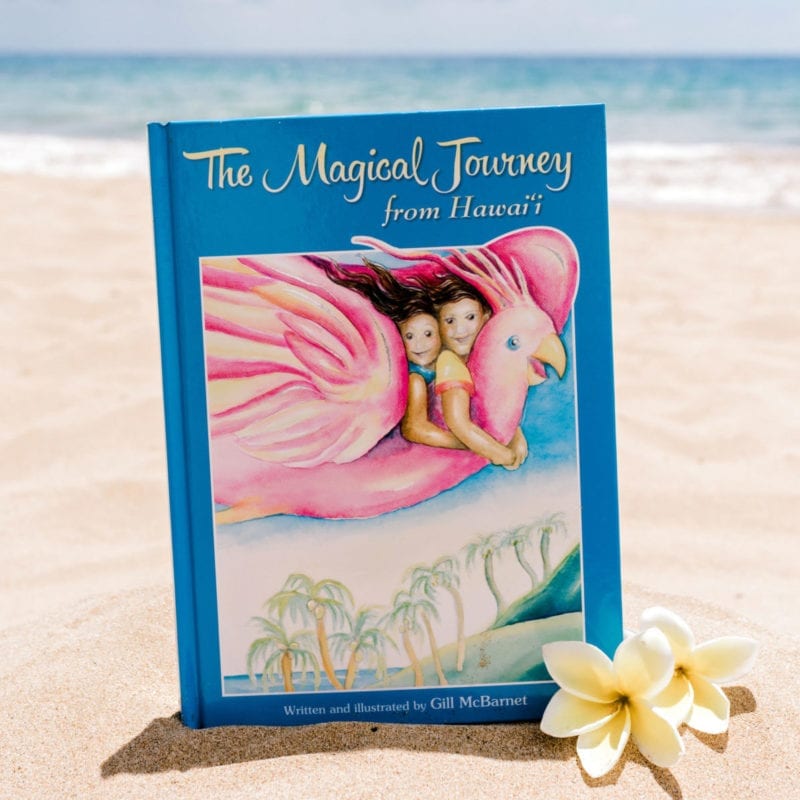 The Magical Journey book