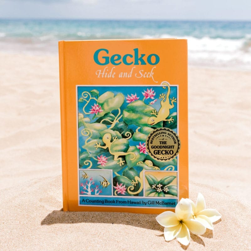 Gecko Hide and Seek Book